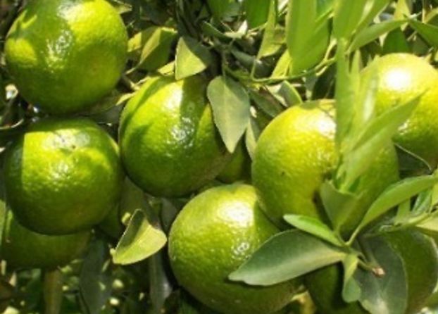 国家批准的硒产品有哪些(国家硒产品质检中心)-硒宝网