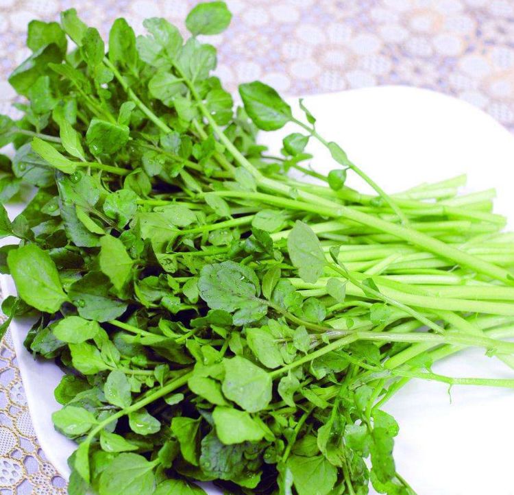 国家批准的硒产品有哪些(国家硒产品质检中心)-硒宝网