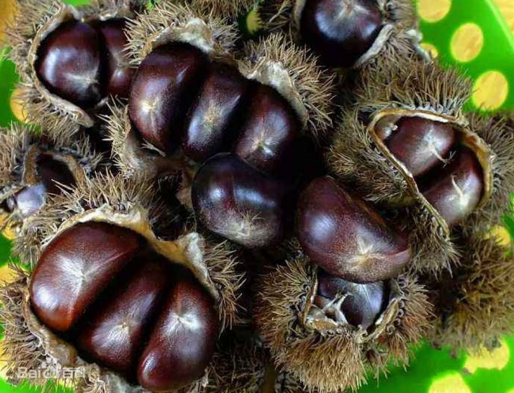 国家批准的硒产品有哪些(国家硒产品质检中心)-硒宝网