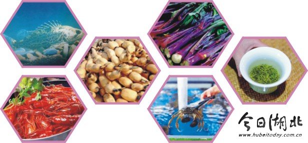 恩施 硒产品质检中心(恩施富硒产品质量检测中心电话)-硒宝网