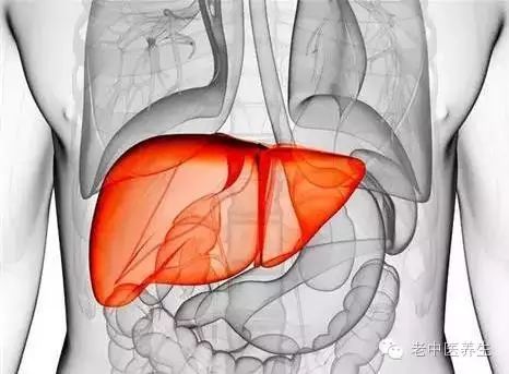 如何选择好的酵母硒产品（酵母硒哪个牌子好）-硒宝网