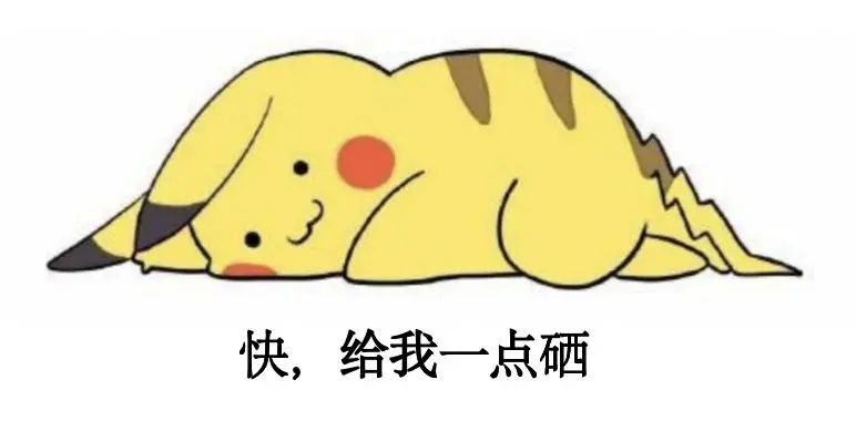 修复细胞的硒产品有哪些（硒?；ば薷聪赴墓δ茉恚?硒宝网