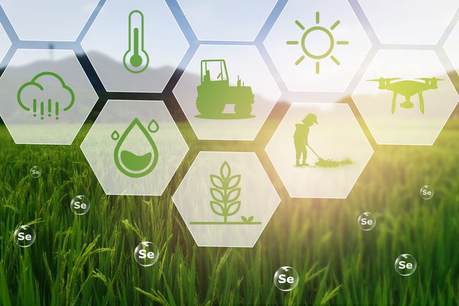 生物纳米硒源产品是什么（生物纳米硒营养液）-硒宝网