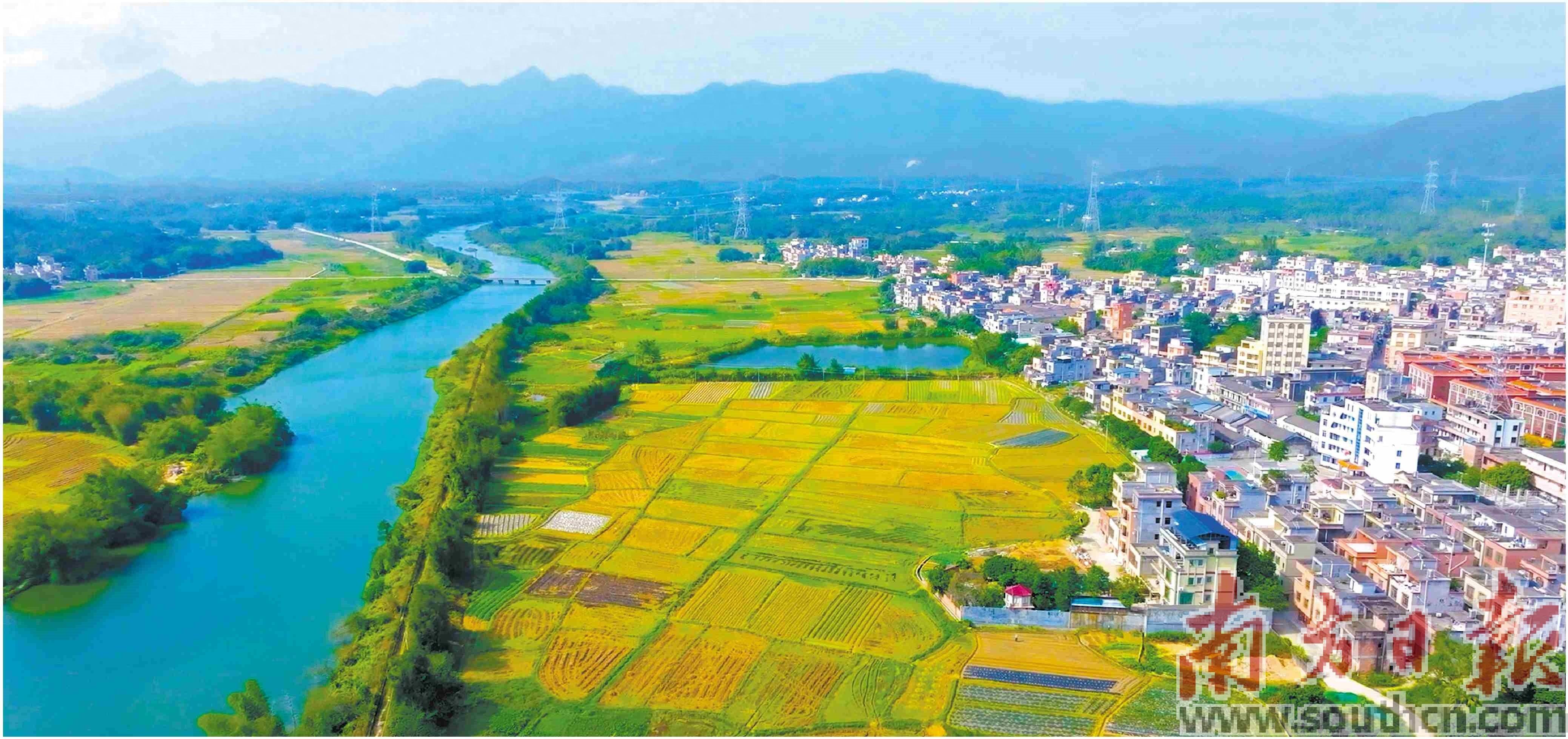 广东富硒产品有哪些公司（富硒产品厂家）-硒宝网