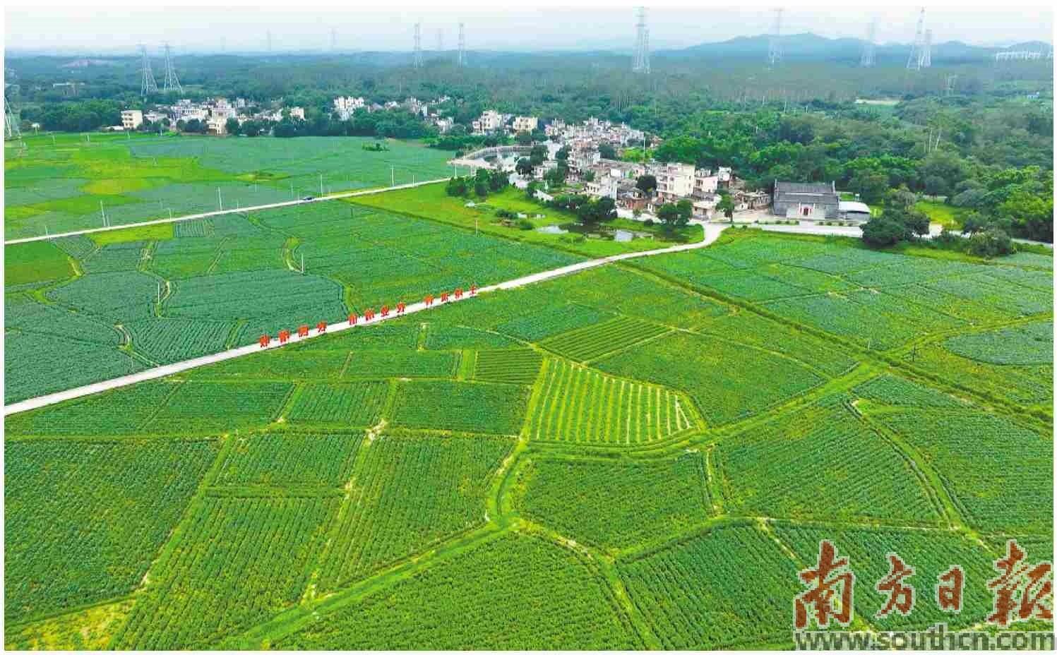 广东富硒产品有哪些公司（富硒产品厂家）-硒宝网