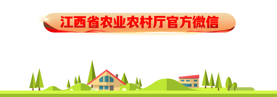 兴国富硒产品有哪些品牌(兴国富硒品牌产品有哪些)-硒宝网