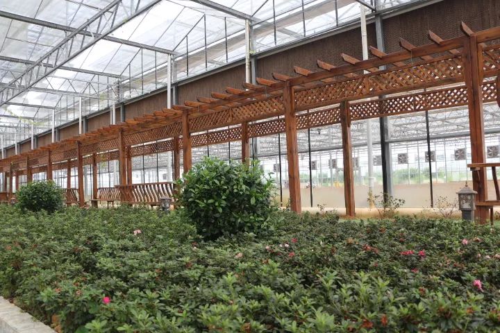 兴国富硒产品有哪些品牌(兴国富硒品牌产品有哪些)-硒宝网