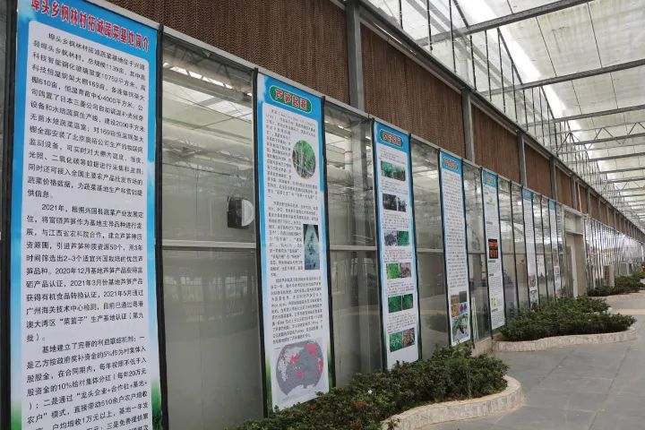 兴国富硒产品有哪些品牌(兴国富硒品牌产品有哪些)-硒宝网