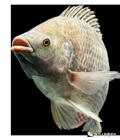 国家为什么不推广硒产品(国家推广补硒)-硒宝网