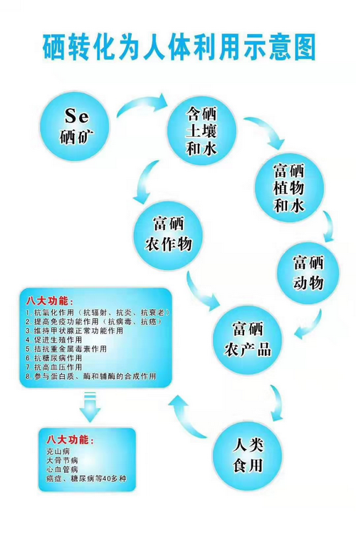 液体无机硒的产品有哪些(无机硒有毒吗)-硒宝网