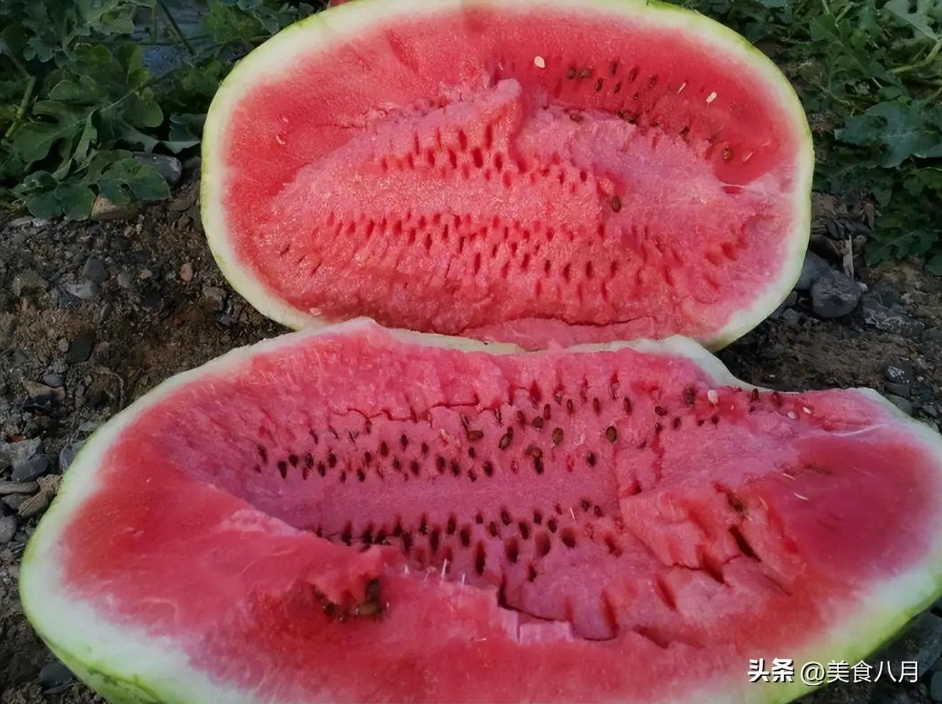 硒砂瓜可以做成哪些产品（硒砂瓜产业发展的问题）-硒宝网