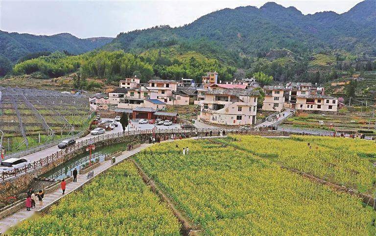 寿宁生态硒锌产品怎么样(寿宁锌橙简介)-硒宝网