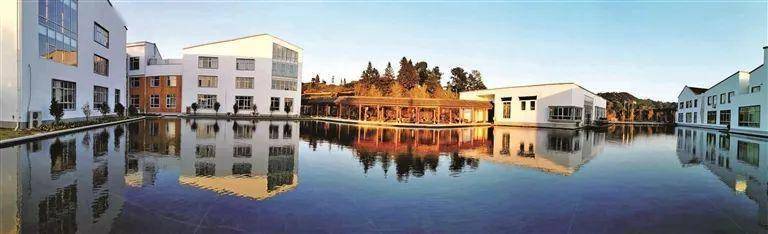 寿宁生态硒锌产品怎么样(寿宁锌橙简介)-硒宝网