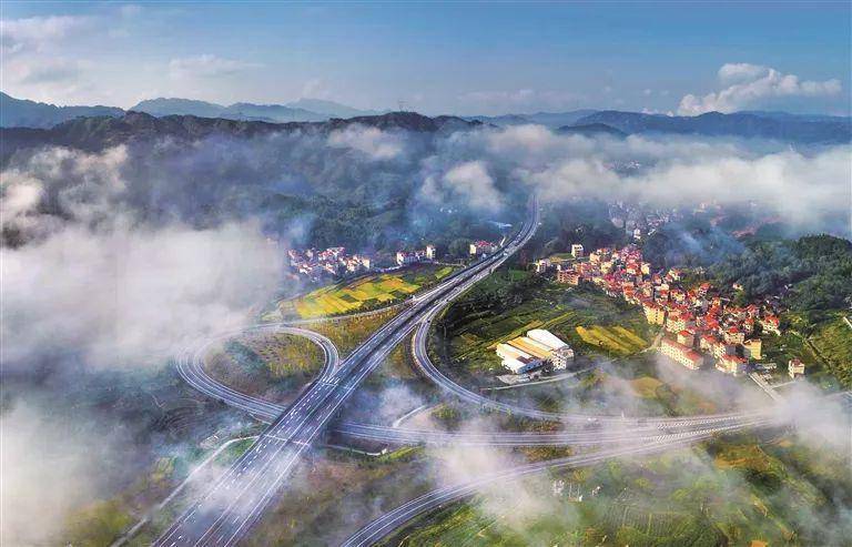 寿宁生态硒锌产品怎么样(寿宁锌橙简介)-硒宝网