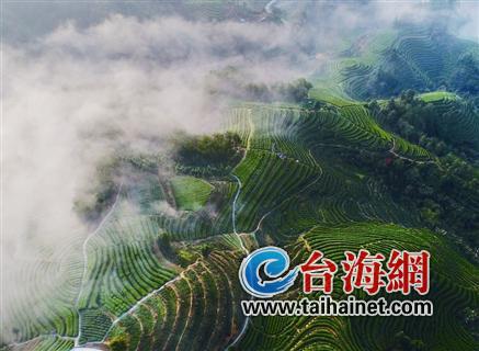 寿宁生态硒锌产品怎么样（锌硒生物素片）-硒宝网