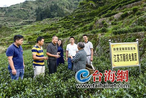 寿宁生态硒锌产品怎么样（锌硒生物素片）-硒宝网