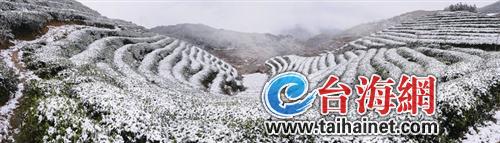 寿宁生态硒锌产品怎么样（锌硒生物素片）-硒宝网