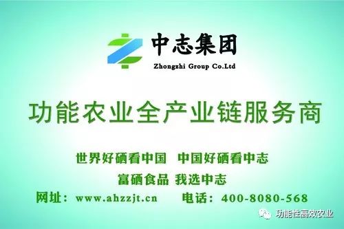 硒功能性产品有哪些品牌(性功能品牌产品硒有哪些)-硒宝网