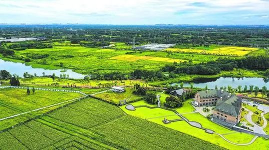 硒功能性产品有哪些品牌(性功能品牌产品硒有什么作用)-硒宝网