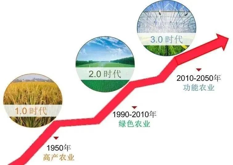 硒功能性产品有哪些品牌(性功能品牌产品硒有什么作用)-硒宝网