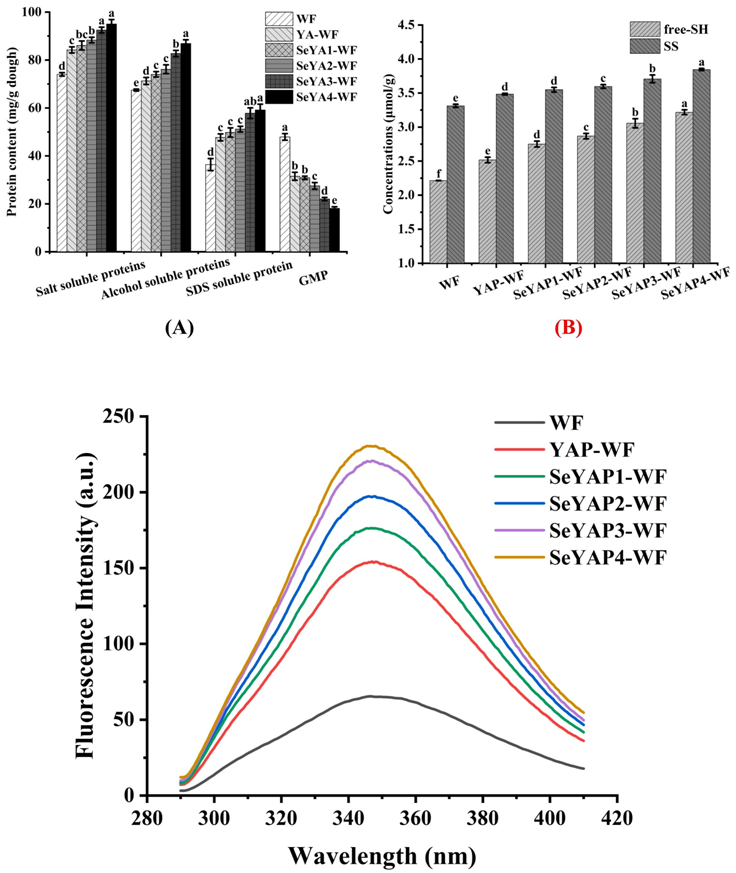 是谁发明了硒酵母的产品(酵母硒的生产工艺)-硒宝网