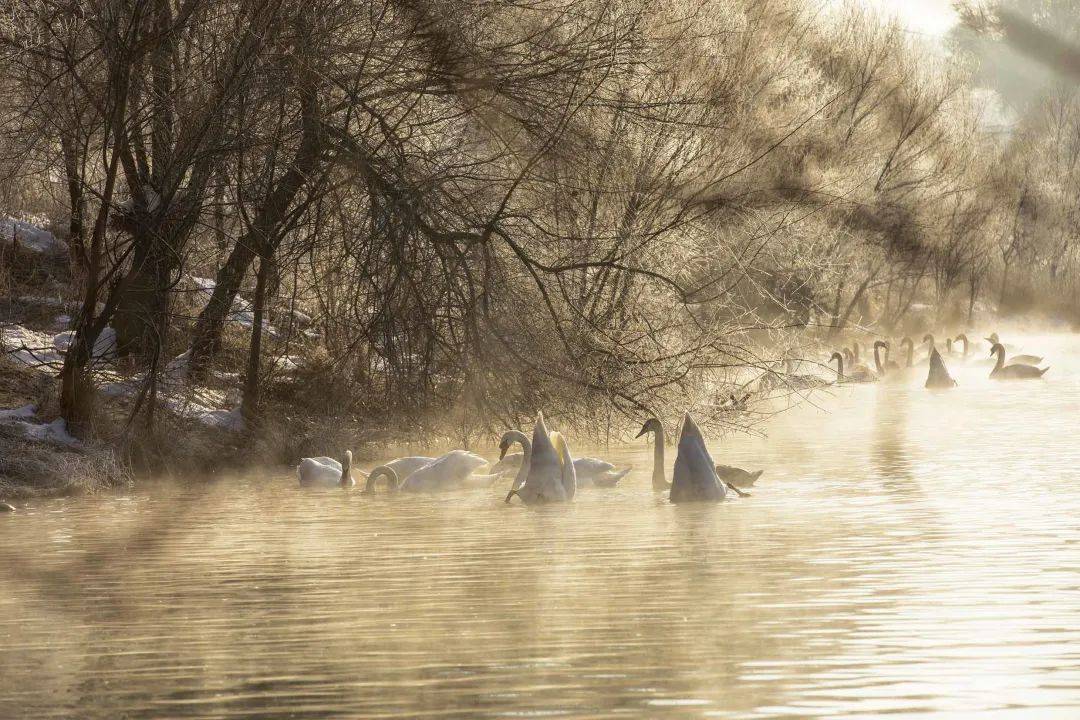 含硒温泉推荐哪款产品好（温泉含硒对人体）-硒宝网