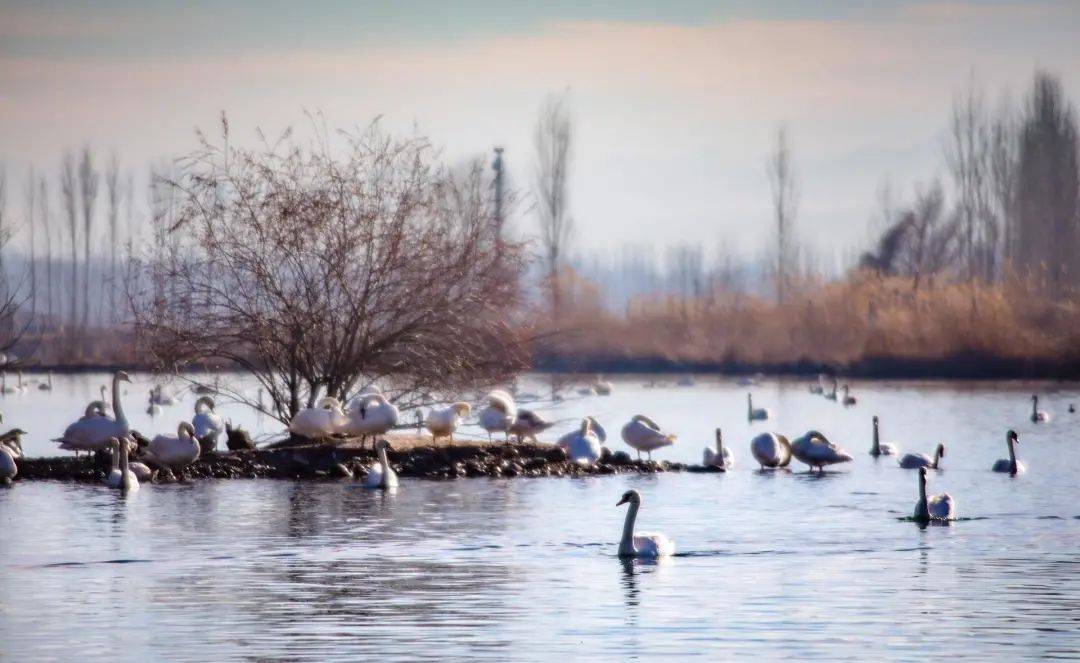 含硒温泉推荐哪款产品好（温泉含硒对人体）-硒宝网