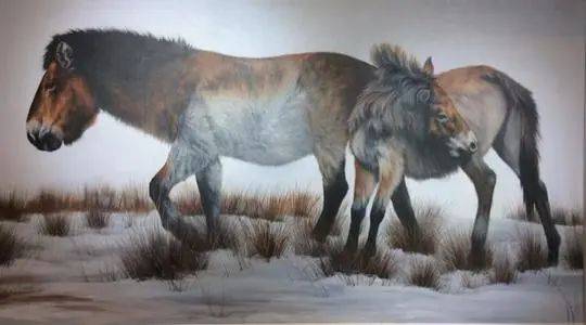 含硒温泉推荐哪款产品好（温泉含硒对人体）-硒宝网