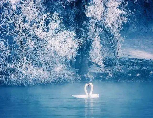 含硒温泉推荐哪款产品好（温泉含硒对人体）-硒宝网