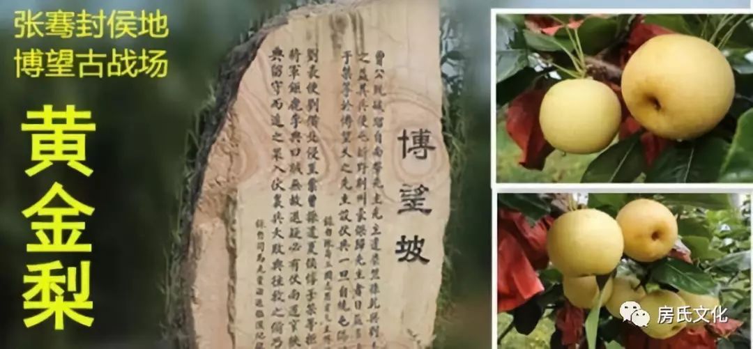 上海富硒认证有机农产品（富硒农产品认证机构）-硒宝网