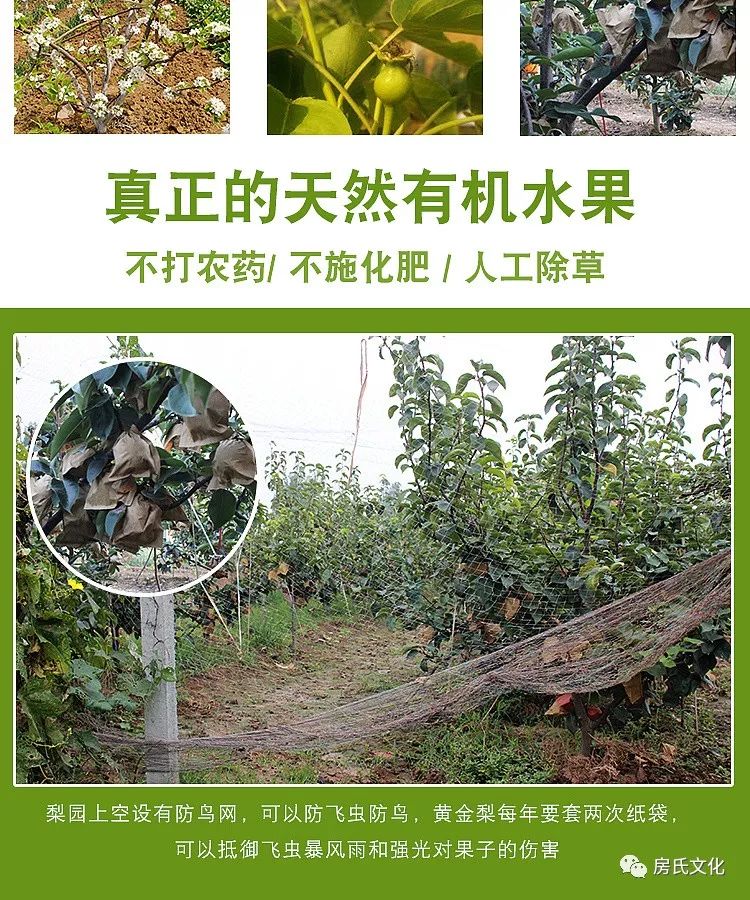 上海富硒认证有机农产品（富硒农产品认证机构）-硒宝网