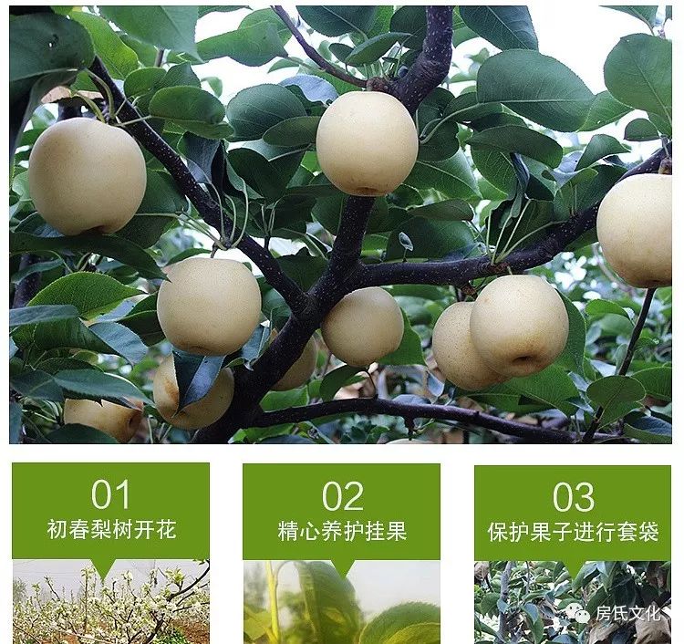 上海富硒认证有机农产品（富硒农产品认证机构）-硒宝网