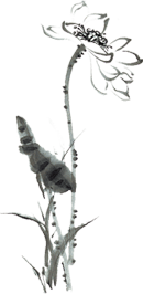 巴东硒拉你绿色农特产品(恩施巴东县硒含量高吗)-硒宝网