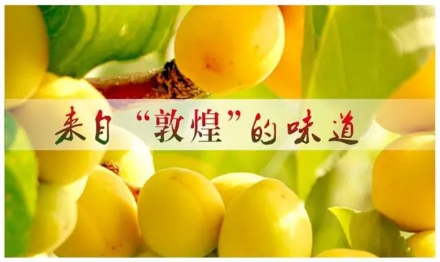 硒沙瓜是那里生产的产品（硒砂瓜产量）-硒宝网