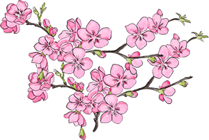 硒沙瓜是那里生产的产品（硒砂瓜产量）-硒宝网