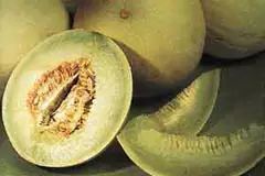 硒沙瓜是那里生产的产品（硒砂瓜产量）-硒宝网