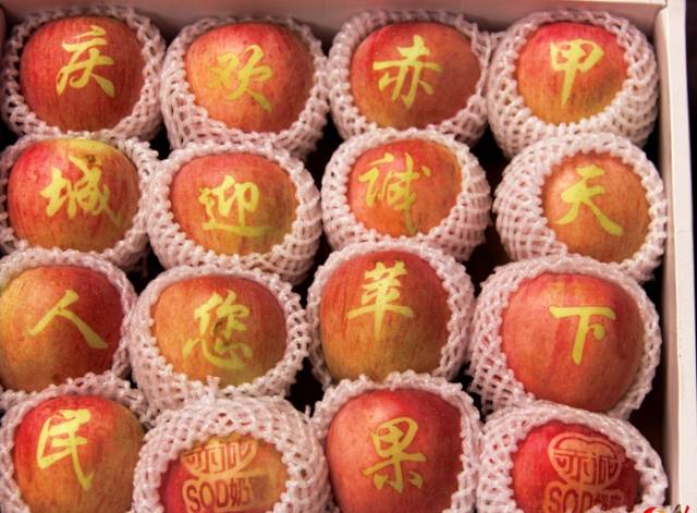 硒沙瓜是那里生产的产品（硒砂瓜产量）-硒宝网