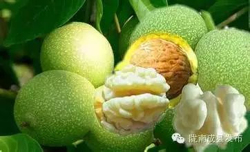 硒沙瓜是那里生产的产品（硒砂瓜产量）-硒宝网