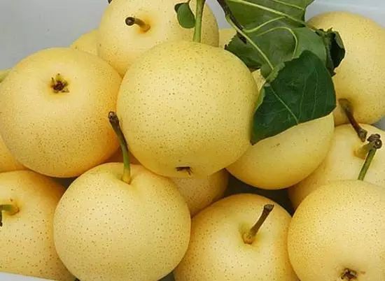 硒沙瓜是那里生产的产品（硒砂瓜产量）-硒宝网