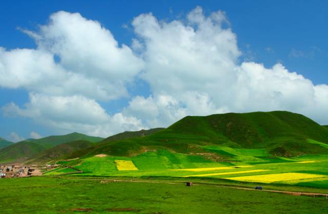 硒沙瓜是那里生产的产品（硒砂瓜产量）-硒宝网