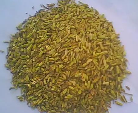 硒沙瓜是那里生产的产品（硒砂瓜产量）-硒宝网