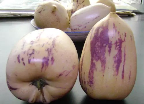 硒沙瓜是那里生产的产品（硒砂瓜产量）-硒宝网