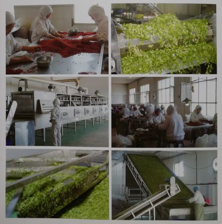 欧盟农产品标准不能含硒（欧盟农产品检测标准）-硒宝网