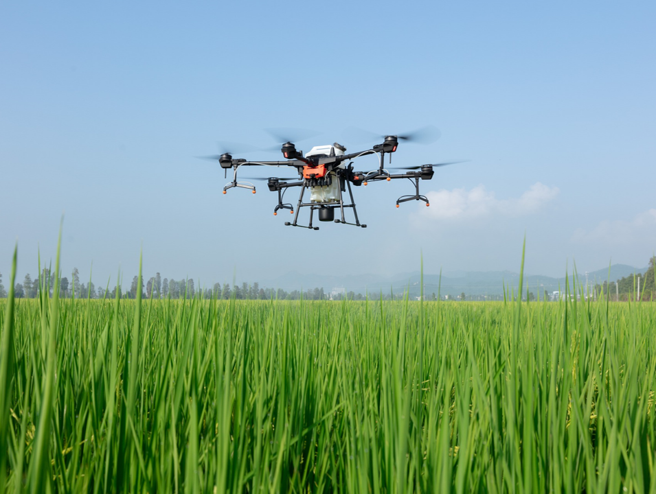 硒化锌用于什么产品里的(硒化锌是一种透明色半导体)-硒宝网