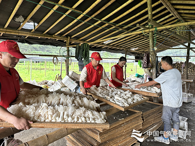 青海富硒产品主要有哪些(青海富硒主要产品有哪些品种)-硒宝网