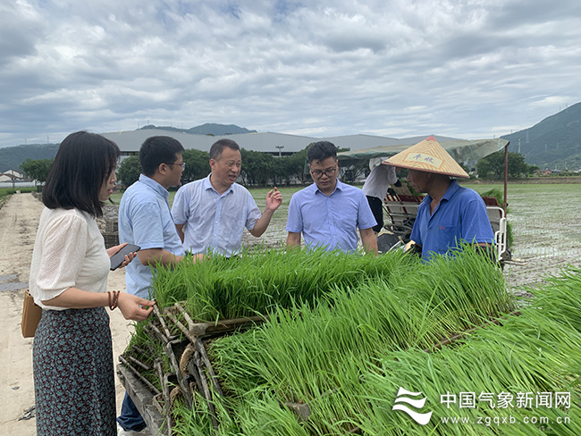 青海富硒产品主要有哪些(青海富硒主要产品有哪些品种)-硒宝网