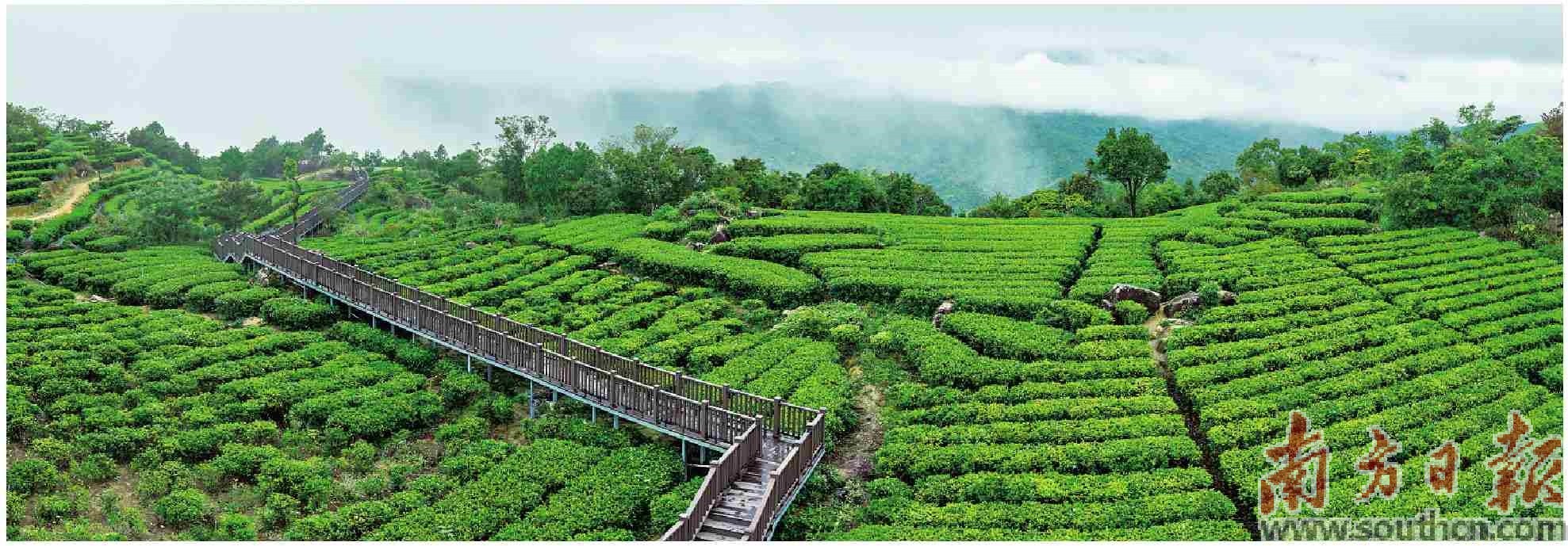 开阳中国富硒农产品之乡（开阳富硒宣传）-硒宝网