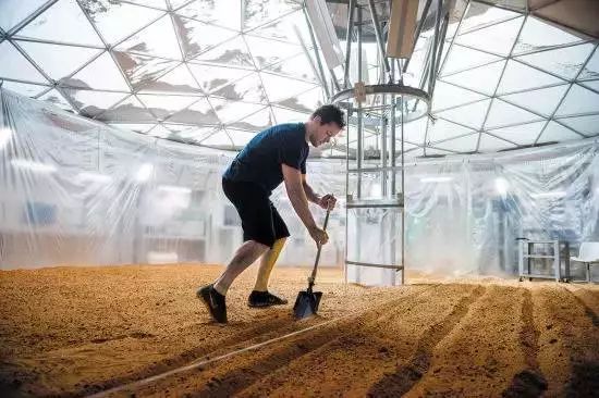 日本有硒产品吗知乎推荐(日本专家谈硒)-硒宝网