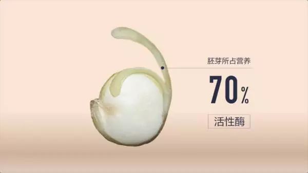 日本有硒产品吗知乎推荐(日本专家谈硒)-硒宝网