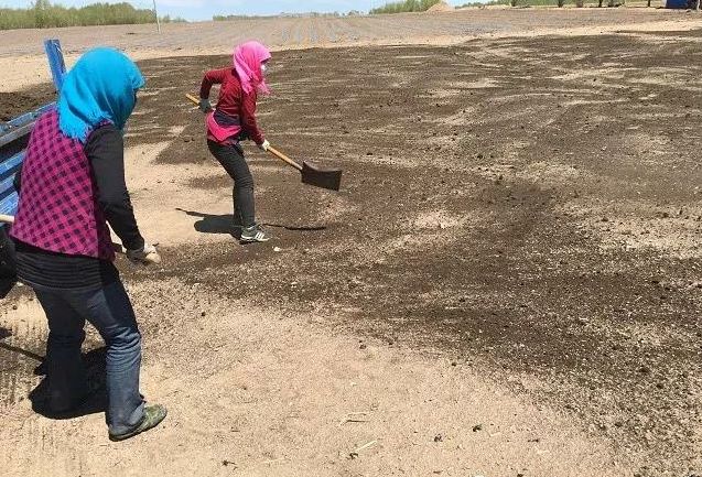 日本有硒产品吗知乎推荐(日本专家谈硒)-硒宝网